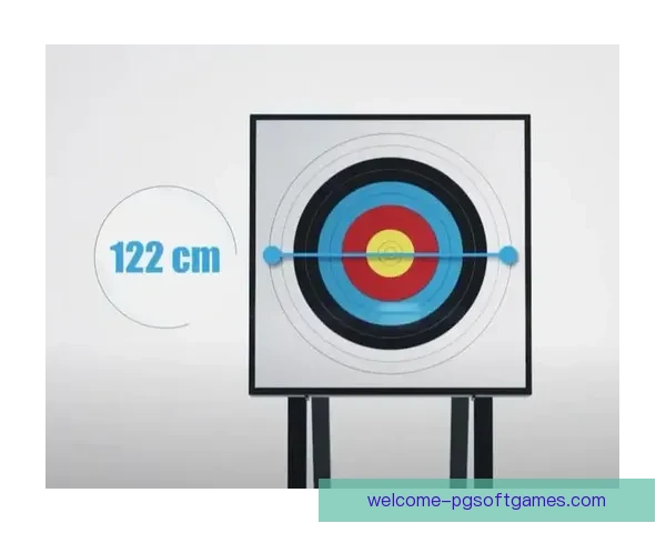射箭数据分析：挖掘箭靶背后的技术奥秘